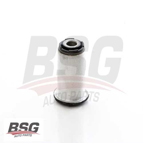 SALINCAK BURCU KÜÇÜK BM FOCUS 18-