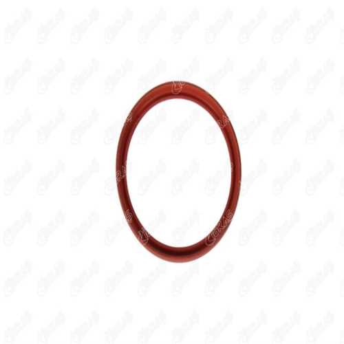 RENAULT FLUENCE/MEGAN III RENAULT TURBO CONTASI ORING CONTA