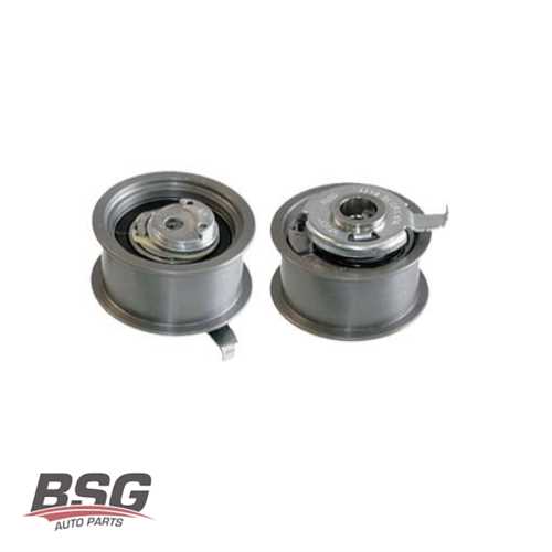 EKSANTRIK GERGI RULMANI 531 0440 30 AGR-AHF-ALH 1,9 TDI GOLF4-BORA-A3-TOLEDO-OCTAVIA 97-04