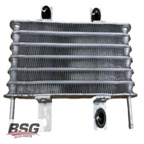 SANZUMAN YAG RADYATÖRÜ (ADBLUE RADYATORU) OTOMATIK 1.0 TCE CLIO V CAPTUR II TALIANT SANDERO III 19- Ürün Görseli