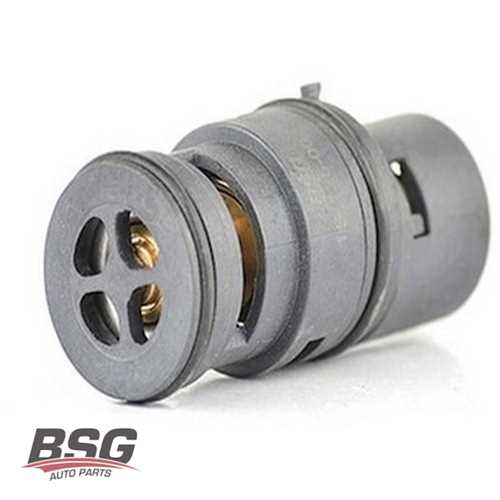 BMW E46-X3 E83-X5 E53 BMW TERMOSTAT EGR VALFI Ürün Görseli