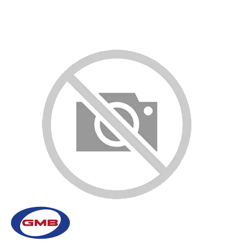 BMW MINI R55-R56-R57-R58-R59-R60 BMW TERMOSTAT Ürün Görseli