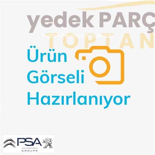 OE-PSA ARKA TAMPON IÇ PLASTIKC4 (741680)