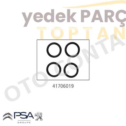 OE-PSA EMME MANIFOLD ORING ADET