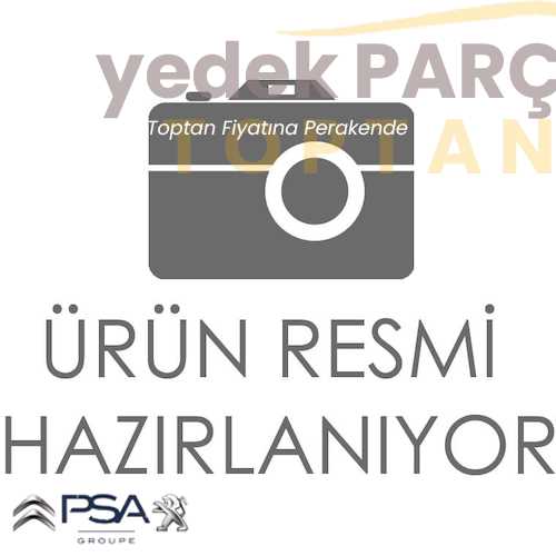 OE-PSA ÇAMURLUK DAVLUMBAZI : R