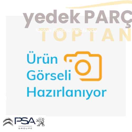 OE-PSA ÇELIK JANT