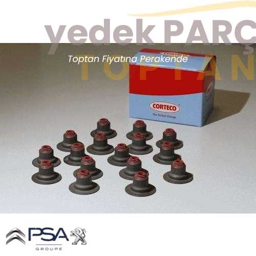 OE-PSA DEVIRDAIMLI TRIGER SET ( 0831T4 ; 1609417480 )