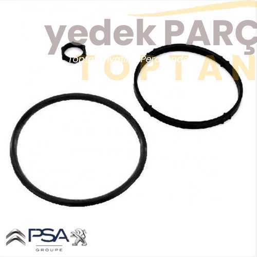 OE-PSA YAG FILTRE CONTA