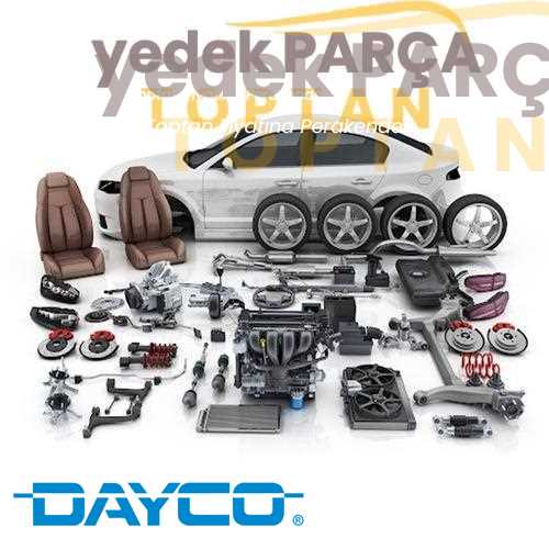 DAYCO V KAYIS GERGI RULMANI