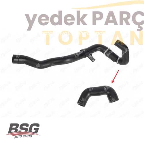 BSG TURBO HORTUMU KÜÇÜK (PLASTIK PARCA HARIC)