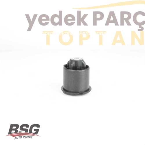 BSG TORSIYON BURCU