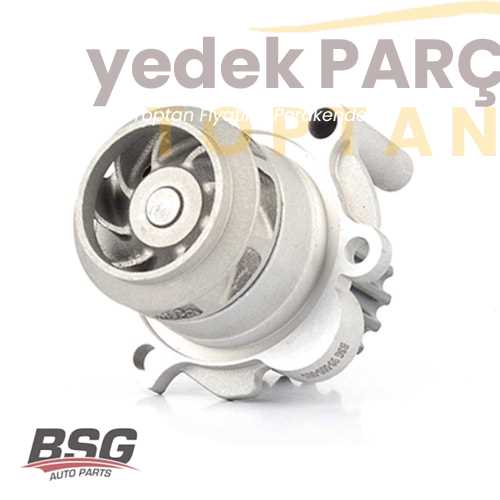 BSG DEVIRDAIM 980256 / 980135 / P565