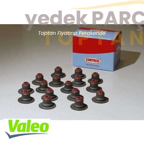 VALEO EGR VALFI