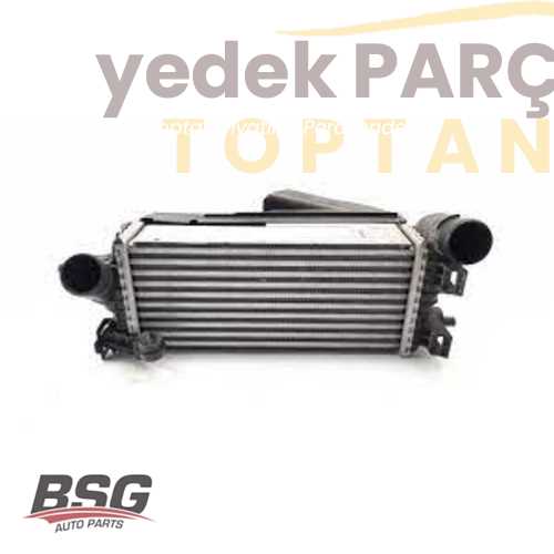 BSG TURBO RADYATÖRÜ