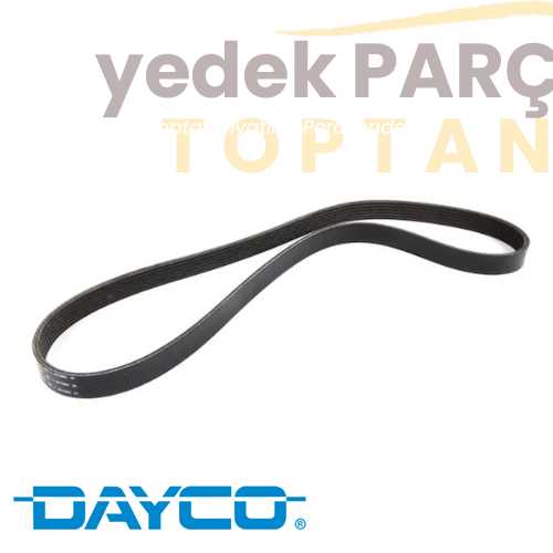 DAYCO V KAYISI 6PK893