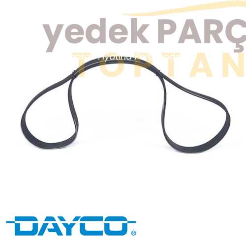 DAYCO V KAYISI 6PK1610