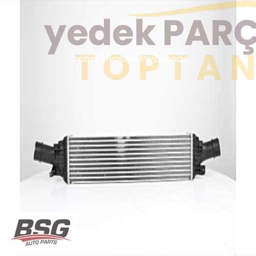 BSG TURBO RADYATÖRÜ 8ML 376 746-191