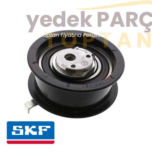 SKF EKSANTRIK GERGI RULMANI 531 0251 30