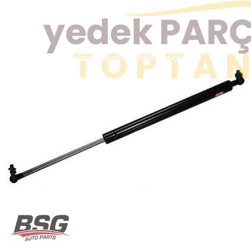 BSG BAGAJ AMORTISÖRÜ 31640 / 034753