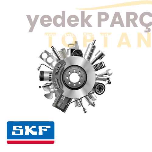 SKF EKSANTRIK GERGI RULMANI