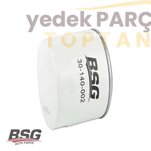 BSG YAG FILTRESI (EFL 386) 4M5Q 6714 BA