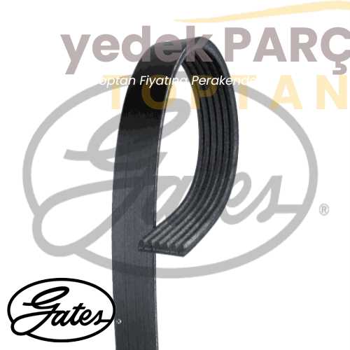 Yedek Parça :GATES KANALLI V-KAYISI 6PK1218 FLUENCE 2.0 LAGUNA3 MEGANE3 307 407 EXPERT 2.0HDI Özellikler: GATES-6PK1218