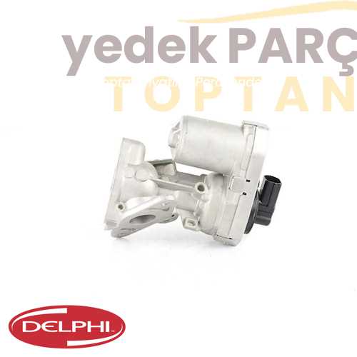 DELPHI EGR VALFI KURU