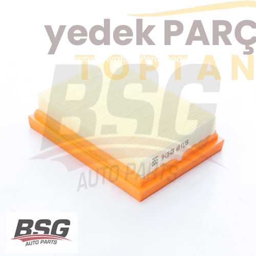 BSG HAVA FILTRESI MAZ C60113Z40/TAM T9601 FBNZ/C601-13-Z40