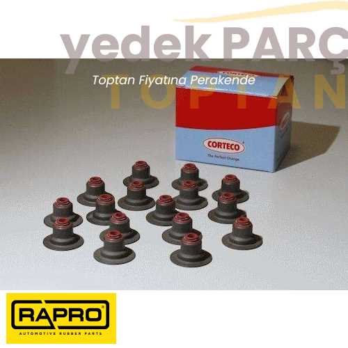 RAPRO MOTOR TRAVERS BURCU ARKA BÜYÜK YC153A262AD