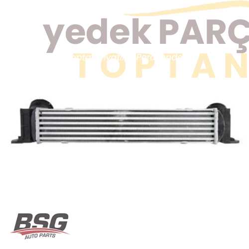 BSG TURBO RADYATÖRÜ