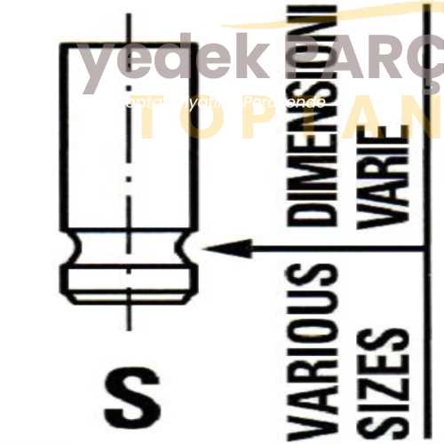 OZGAYD SUPAP GAYDI (12 VALF/TAKIM) BRONZ