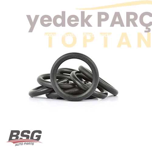 BSG EMME MANIFOLD ORINGI TAKIM