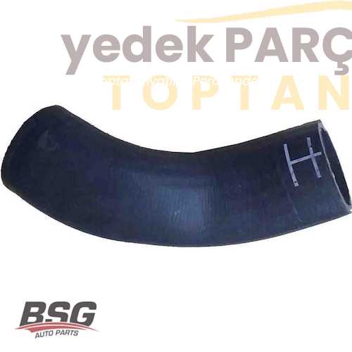 BSG TURBO HORTUMU KÜÇÜK