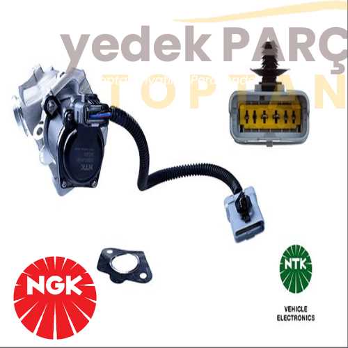 NGK EGR VALFI 3M5Q & CA KABLOLU