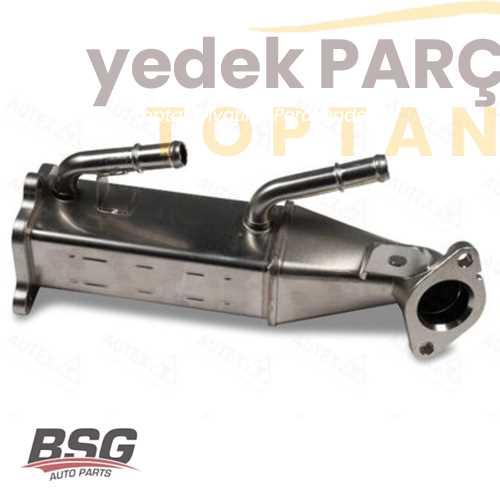 BSG EGR SOGUTUCU ARKA ÇEKER (LR049203)