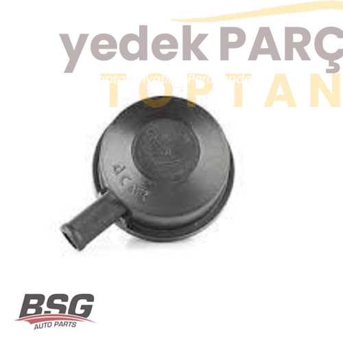 BSG MOTOR YAG KAPAGI DUZ