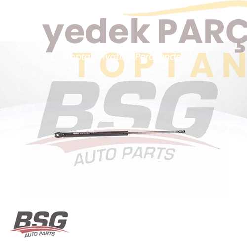 BSG MOTOR KAPUT AMORTISÖRÜ