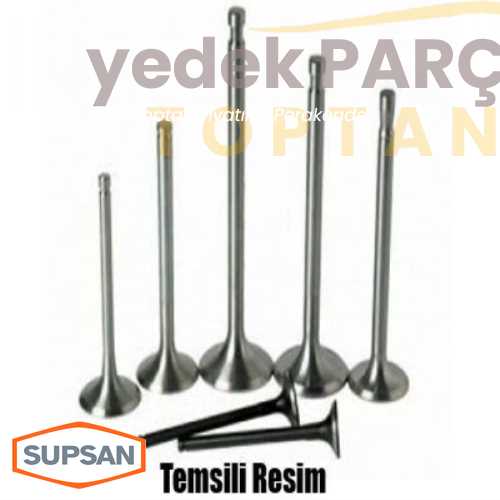 SUPSAN SUBAP IN EX TAKIM 1300 R12