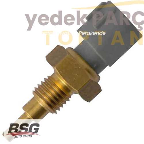 BSG MOTOR SICAKLIK SENSÖRÜ