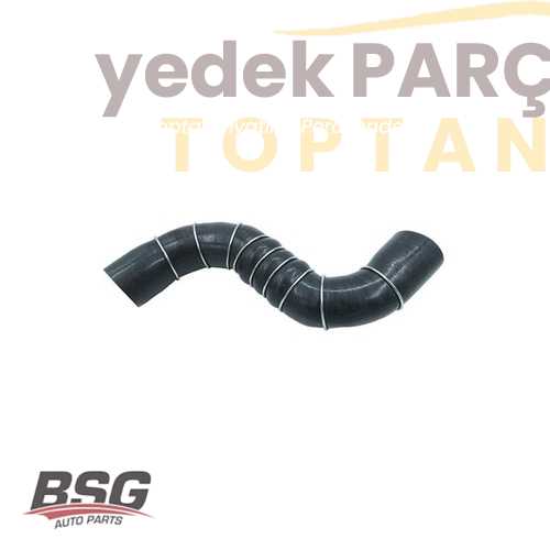 BSG TURBO HORTUMU UZUN