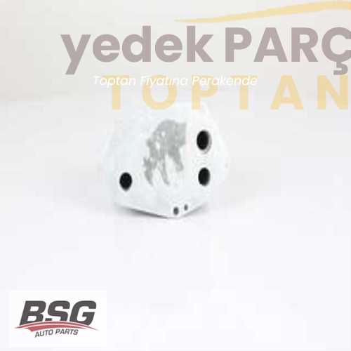 BSG YAG RADYATÖRÜ