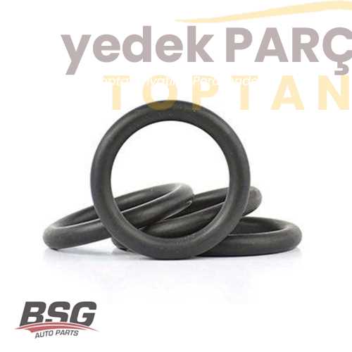 BSG EMME MANIFOLD ORINGI TAKIM