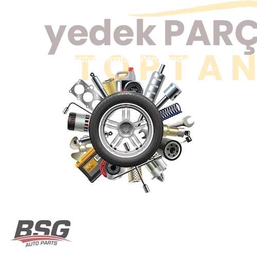 BSG ÇEKI DEMIR KAPAGI ARKA SEDAN