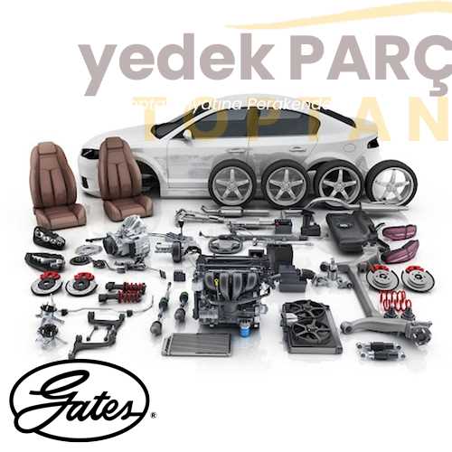 Yedek Parça :GATES V KAYISI BB-4PK833 / Ö.ÇEKER Roadmax Özellikler: BB-4PK833 / Ö.ÇEKER Roadmax