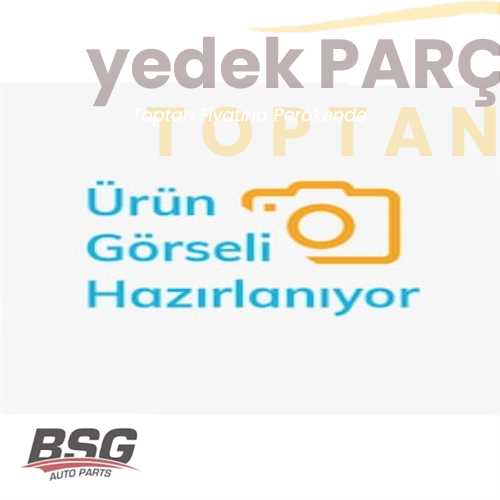 BSG KAPI IÇ AÇMA KOLU SURGULU KAPI (BSG 26-951)