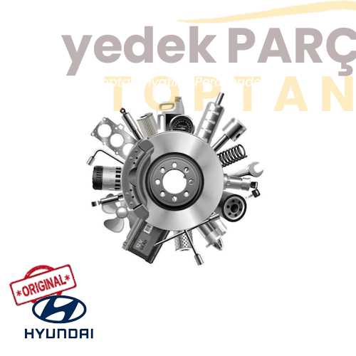 IOE-HYU PAÇALIK ÖN : SAG