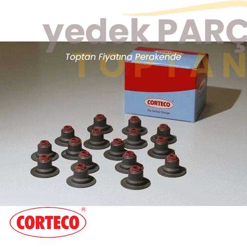 CORTECO SUPAP LASTIGI TAKIM 16'li  (6 mm)