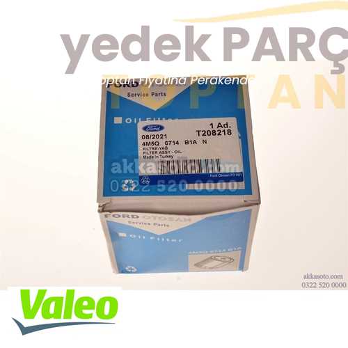 VALEO YAG FILTRESI