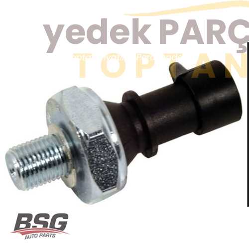 BSG YAG BASINÇ MÜSÜRÜ INCE DIS M10X1MM