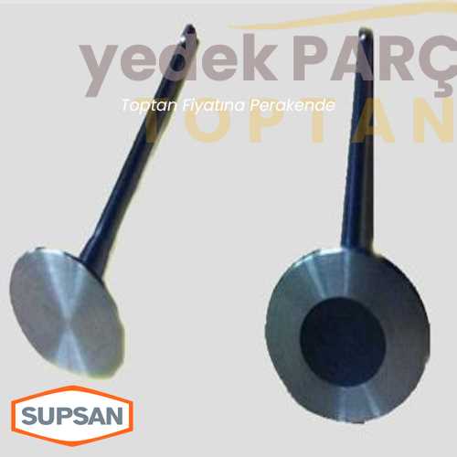 SUPSAN SUBAP IN EX TAKIM 2.0 16V F4R LAGUNA MEGANE